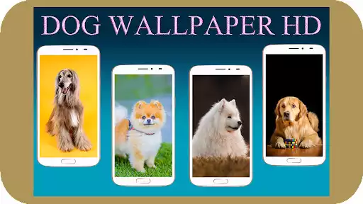 Play Dog Wallpaper HD  and enjoy Dog Wallpaper HD with UptoPlay