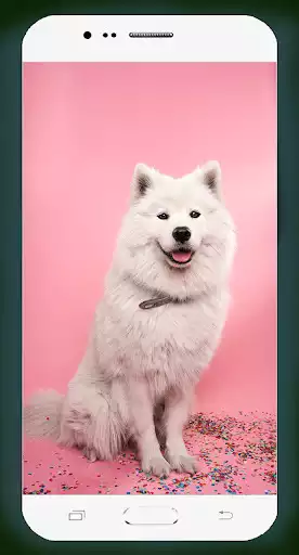 Play Dog Wallpaper HD as an online game Dog Wallpaper HD with UptoPlay