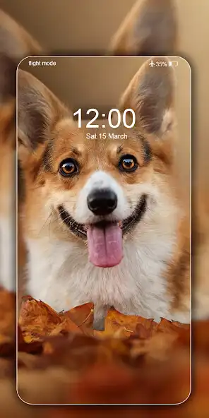 Play Dog Wallpapers  Cute Puppy 4K as an online game Dog Wallpapers  Cute Puppy 4K with UptoPlay