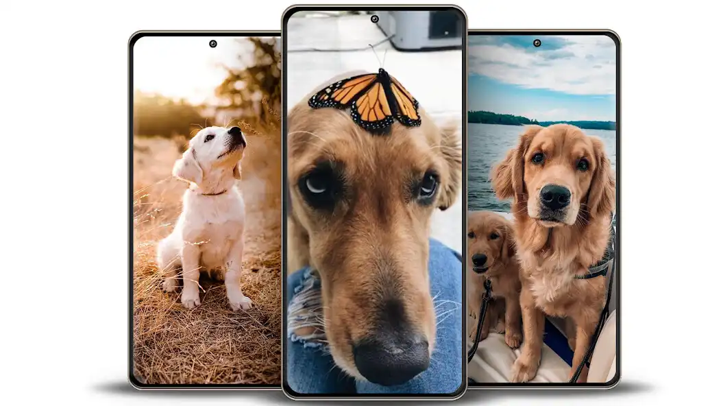 Play Dog Wallpapers  Puppy 4K  and enjoy Dog Wallpapers  Puppy 4K with UptoPlay