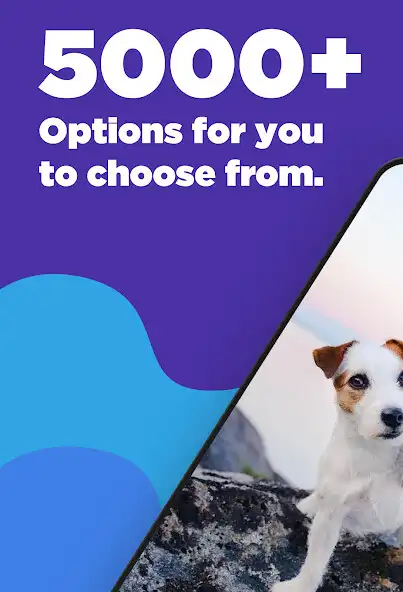 Play Dog Wallpapers  Puppy 4K as an online game Dog Wallpapers  Puppy 4K with UptoPlay