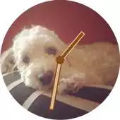 Free play online dog watch face APK