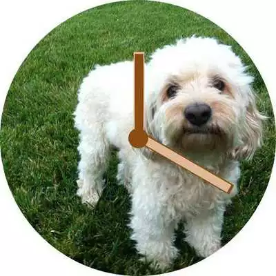 Play dog watch face