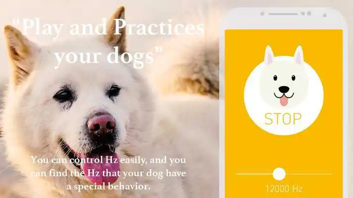 Play Dog Whistle - Barking Dog hz