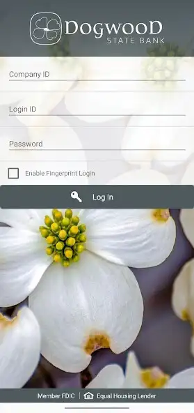 Play Dogwood Treasury Management as an online game Dogwood Treasury Management with UptoPlay