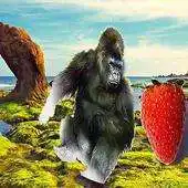 Free play online Doha Monkey APK Free play online Doha Monkey APK