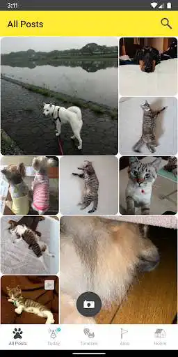 Play Dokonoko as an online game Dokonoko with UptoPlay