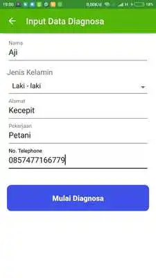 Play Dokter Penyakit Padi