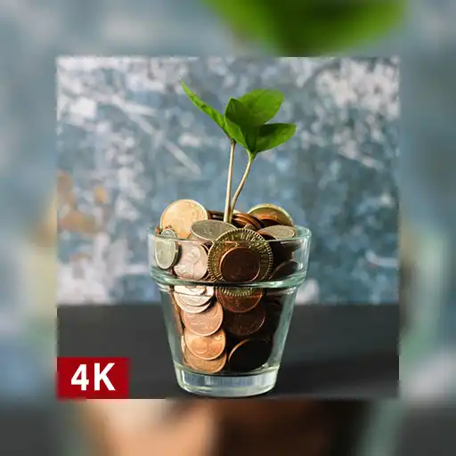 Play Dollar Wallpaper 4K HD APK Play Dollar Wallpaper 4K HD APK