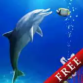 Free play online Dolphin and Friends Trial APK Free play online Dolphin and Friends Trial APK