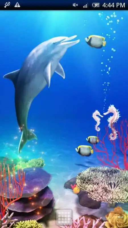 Play Dolphin and Friends Trial