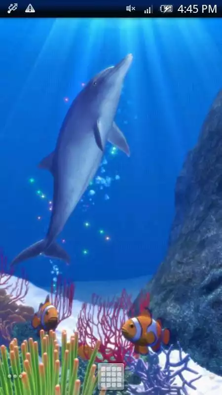 Play Dolphin and Friends Trial
