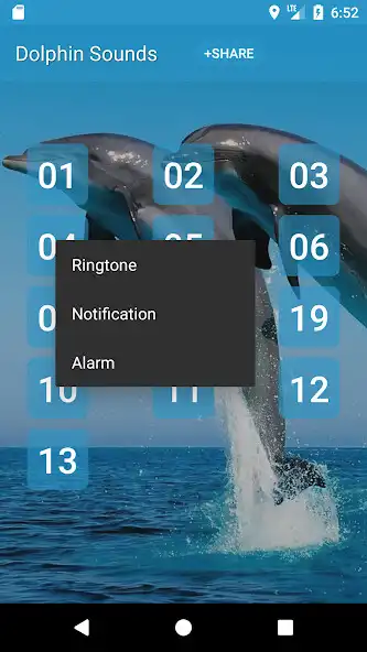 Play Dolphin (Animal) Sounds as an online game Dolphin (Animal) Sounds with UptoPlay