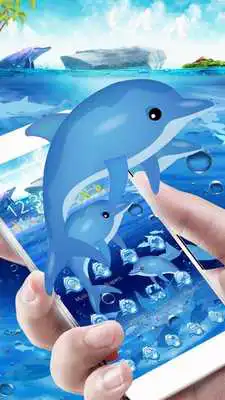 Play Dolphin Aquarium Theme