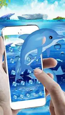 Play Dolphin Aquarium Theme