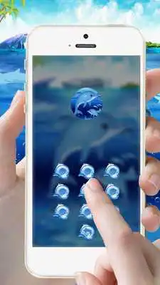 Play Dolphin Aquarium Theme