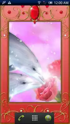 Play Dolphin -Carnelian-Trial
