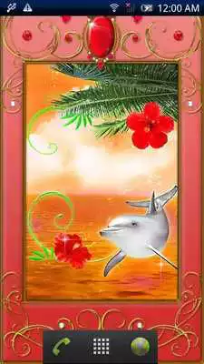 Play Dolphin -Carnelian-Trial