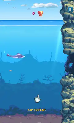 Play Dolphin Game Flippy Tap Fish Play Dolphin Game Flippy Tap Fish