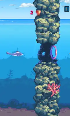 Play Dolphin Game Flippy Tap Fish Play Dolphin Game Flippy Tap Fish