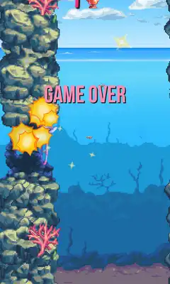 Play Dolphin Game Flippy Tap Fish Play Dolphin Game Flippy Tap Fish