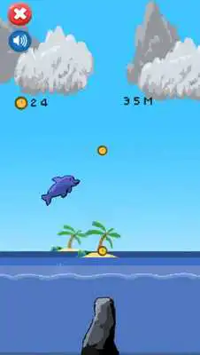 Play Dolphin Games For Free:Show