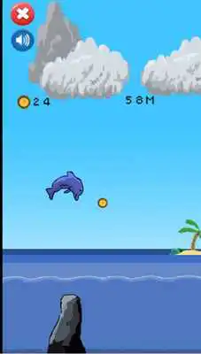 Play Dolphin Games For Free:Show