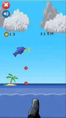 Play Dolphin Games For Free:Show