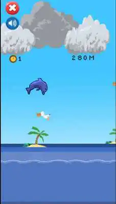 Play Dolphin Games For Free:Show