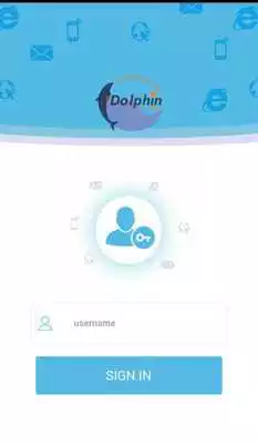 Play Dolphin Infonet Play Dolphin Infonet
