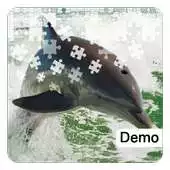 Free play online Dolphin Jigsaw Puzzles Demo APK