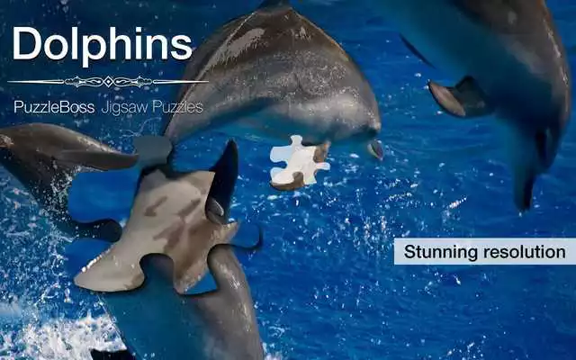 Play Dolphin Jigsaw Puzzles Demo
