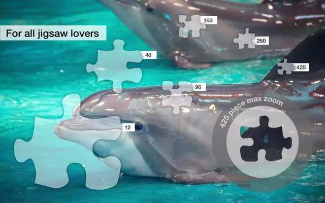 Play Dolphin Jigsaw Puzzles Demo