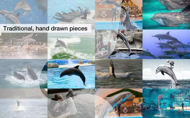 Play Dolphin Jigsaw Puzzles Demo