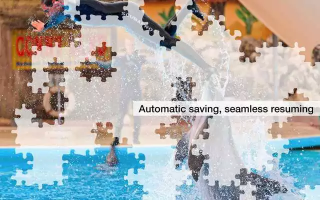 Play Dolphin Jigsaw Puzzles Demo