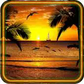 Free play online Dolphin Jumps APK