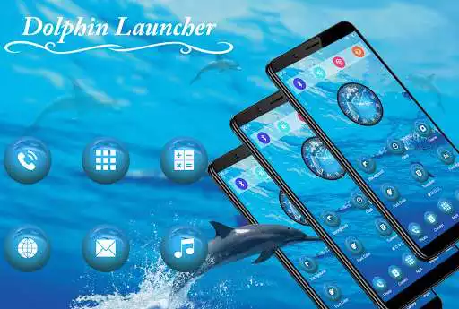 Play Dolphin Launcher