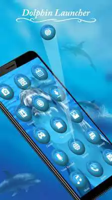 Play Dolphin Launcher