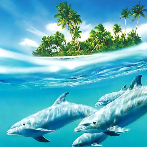 Free play online Dolphin Live Wallpaper APK