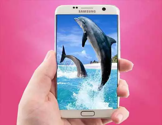 Play Dolphin Live Wallpaper