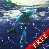 Free play online Dolphin Moonlight Trial APK