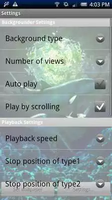 Play Dolphin Moonlight Trial Play Dolphin Moonlight Trial