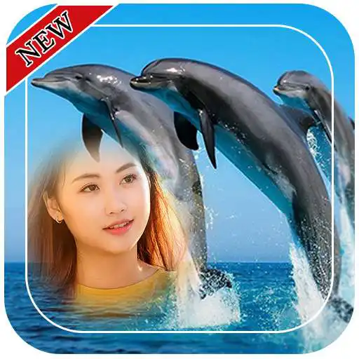 Free play online Dolphin Photo Frames APK