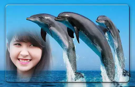 Play Dolphin Photo Frames