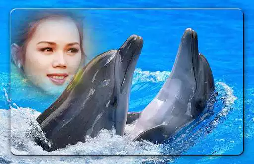 Play Dolphin Photo Frames
