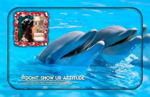 Play Dolphin Photo Frames