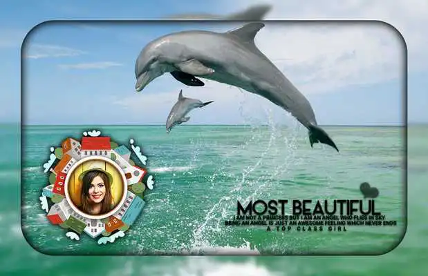 Play Dolphin Photo Frames
