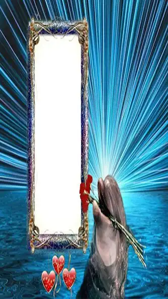 Play Dolphin photos Frames  and enjoy Dolphin photos Frames with UptoPlay