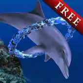 Free play online Dolphin Ring Trial APK Free play online Dolphin Ring Trial APK
