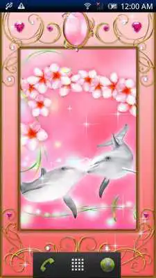 Play Dolphin -Rose Quartz-Trial